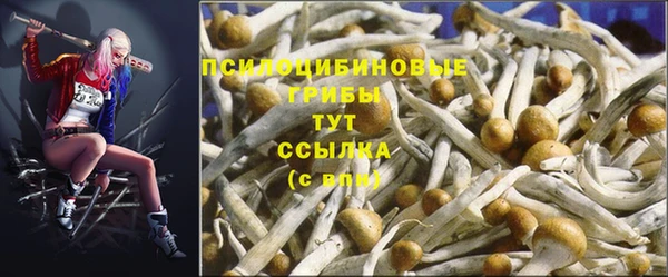 амфетамин Алексеевка