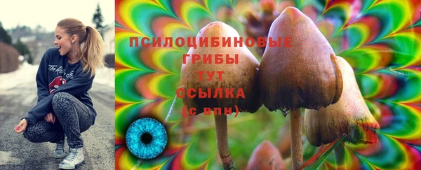 амфетамин Алексеевка