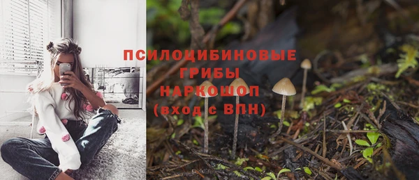 ешки Алзамай