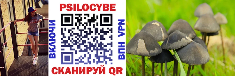 MEGA ссылка  Павлово  Псилоцибиновые грибы MAGIC MUSHROOMS 
